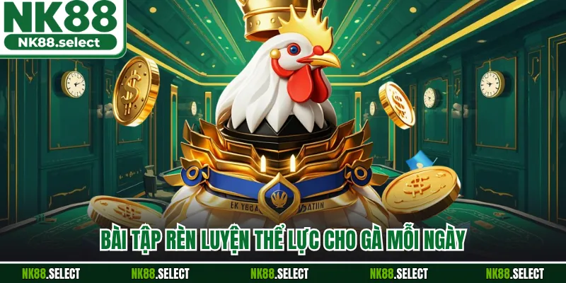Bài tập rèn luyện thể lực cho gà mỗi ngày