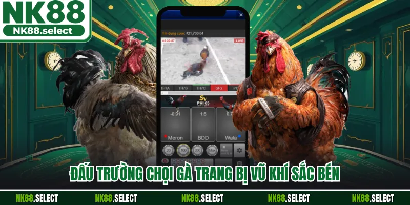 Đấu trường chọi gà trang bị vũ khí sắc bén