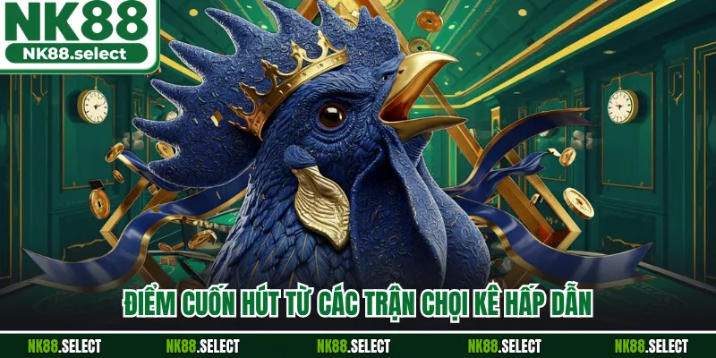 Điểm cuốn hút từ các trận chọi kê hấp dẫn