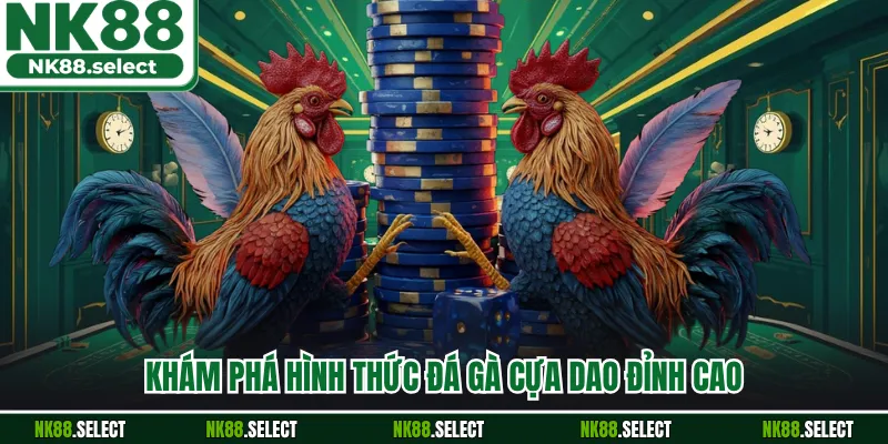 Khám phá hình thức đá gà cựa dao đỉnh cao
