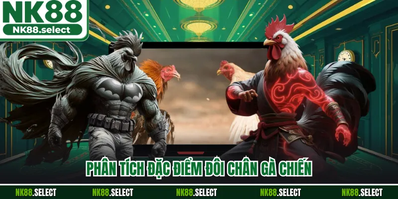 Phân tích đặc điểm đôi chân gà chiến