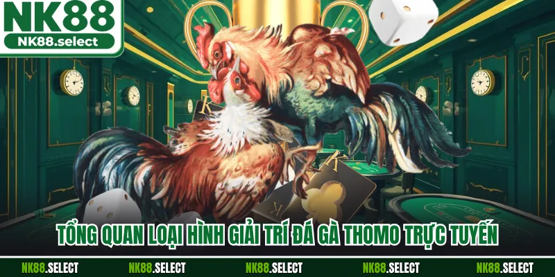 Tổng quan loại hình giải trí đá gà thomo trực tuyến
